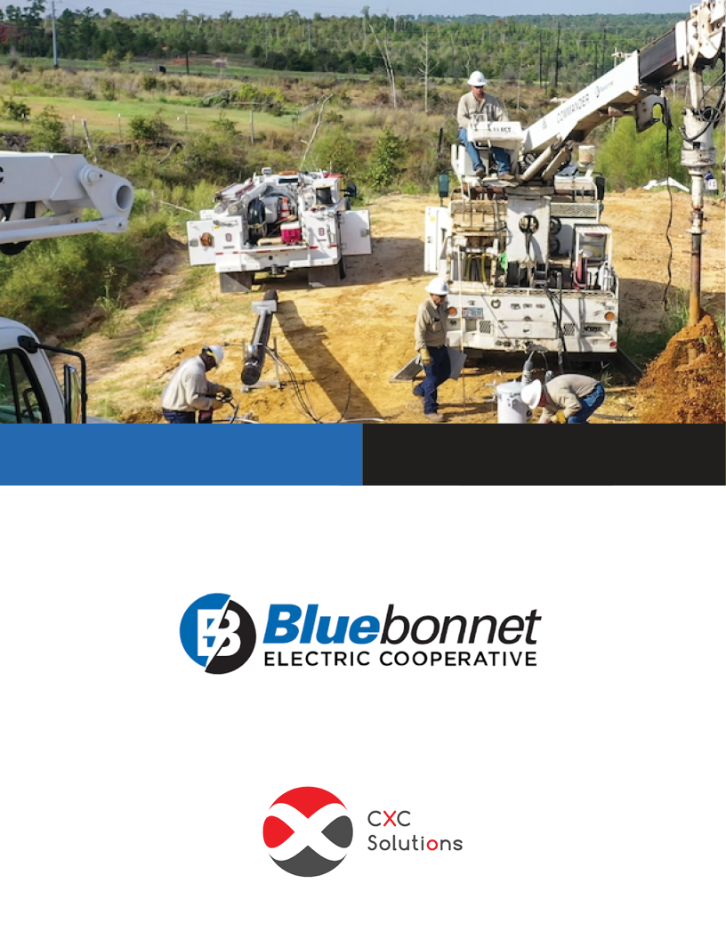 Bluebonnet case study Cover